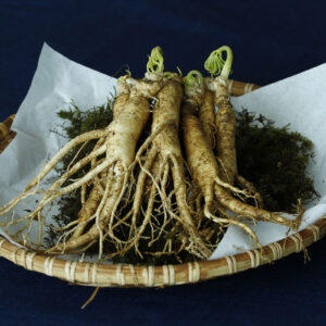 Ginseng, Hoodoo, and the Magic of Upholding African American Earth-Based Traditions